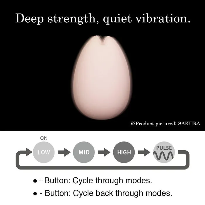 Iroha Iroha Sakura Vibrators