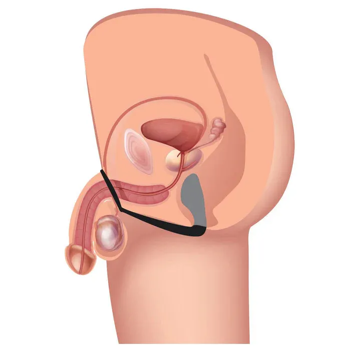 XR Brands Male Sex Toys Explorer II Prostate Stimulator And Cock Ring